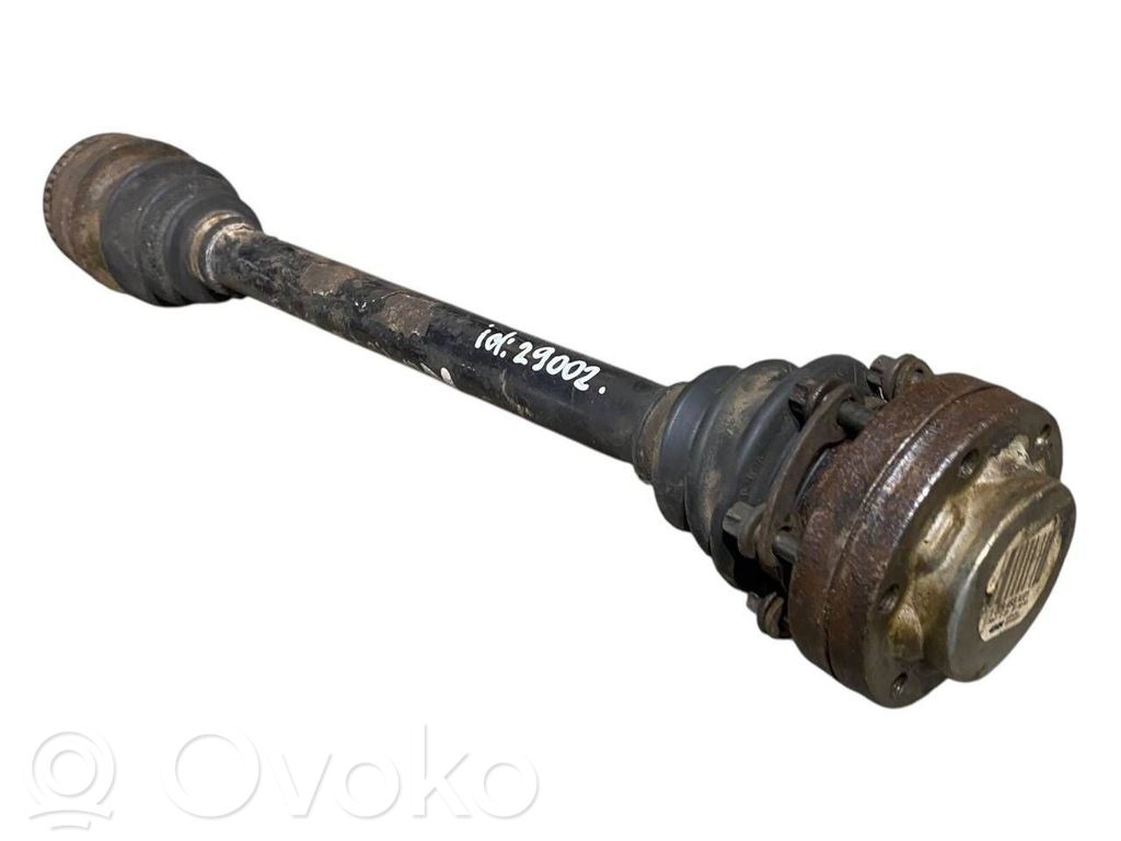 Aizmugurējā pusass