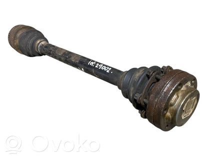 Aizmugurējā pusass