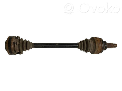 Aizmugurējā pusass