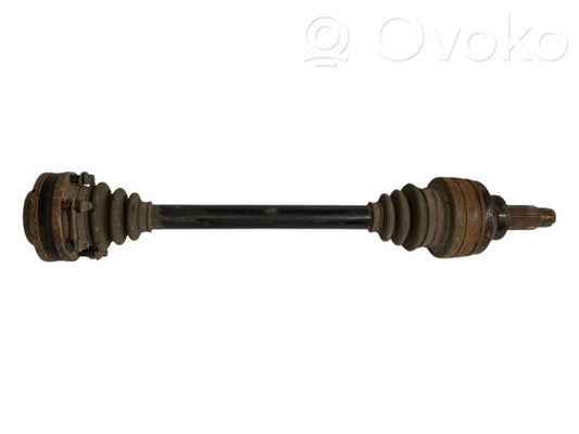 Aizmugurējā pusass