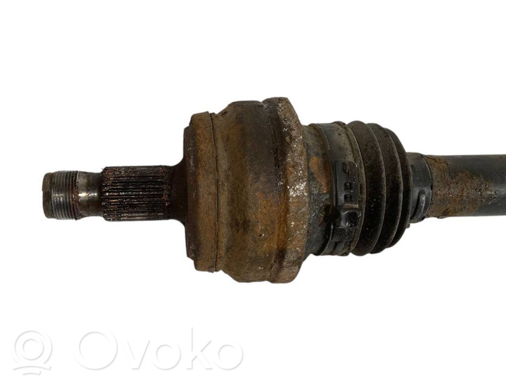 Aizmugurējā pusass