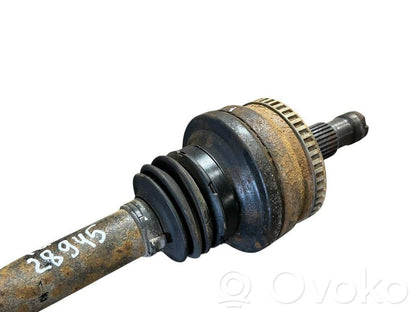 Aizmugurējā pusass