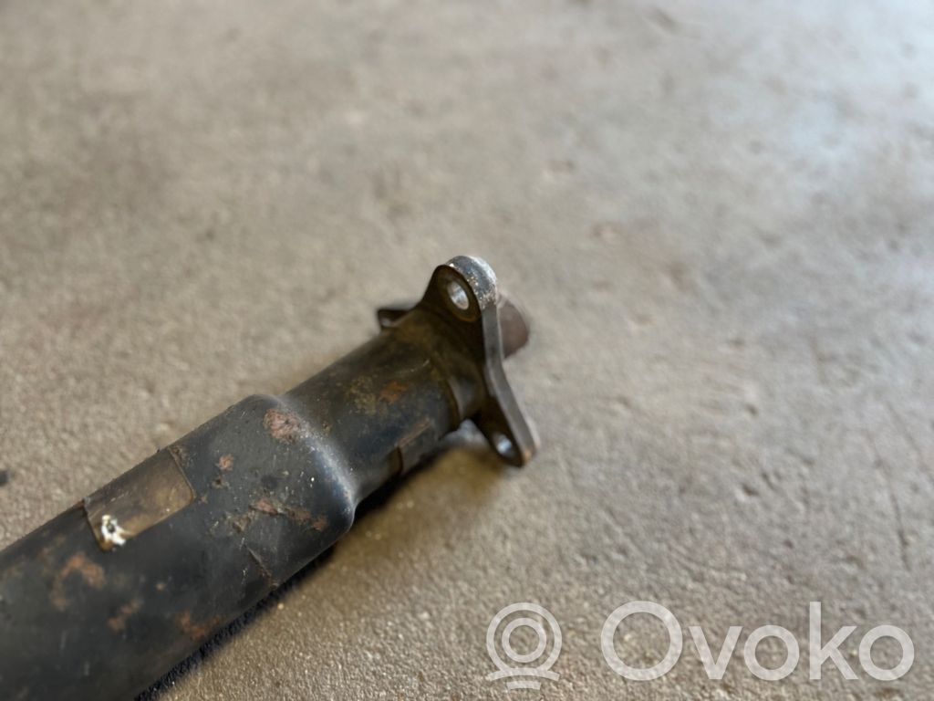 Aizmugurējais kardāns