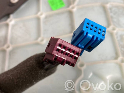 Apšuvums aizmugurējām durvīm