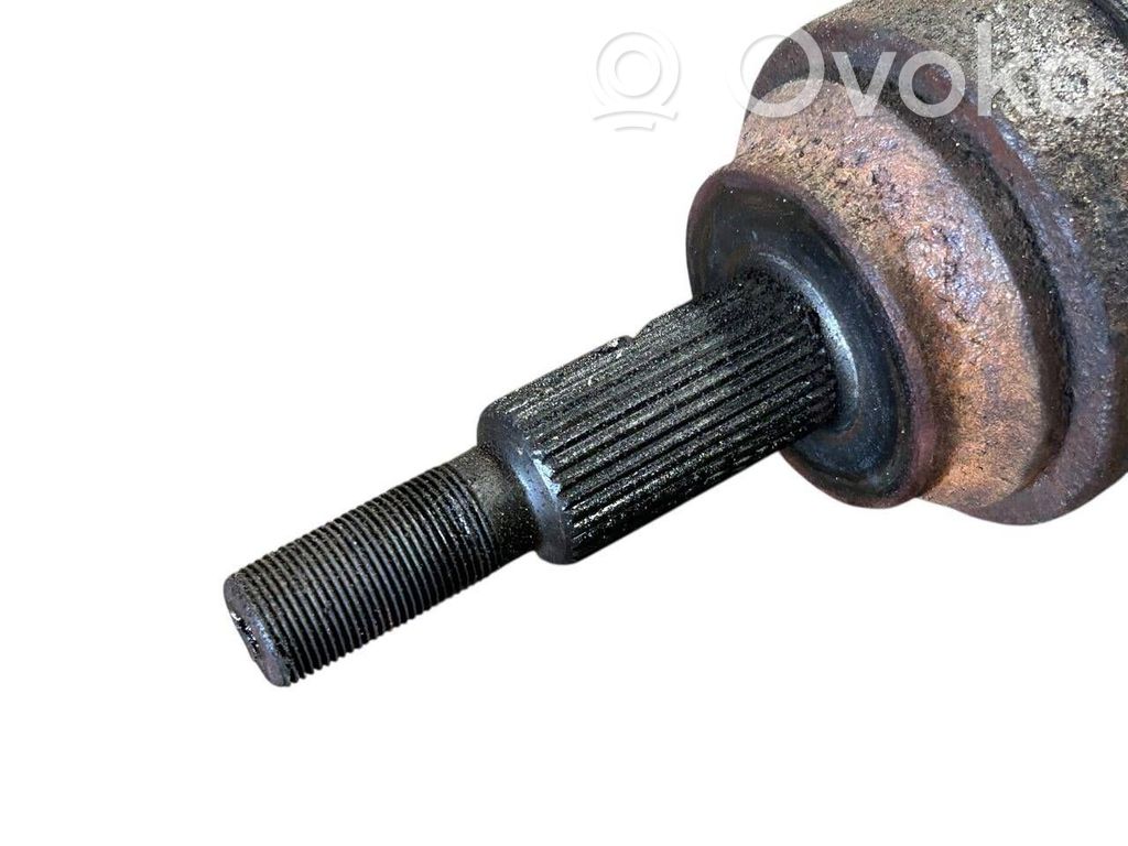 Aizmugurējā pusass