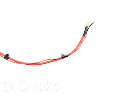 Plusa vads (akumulatora)