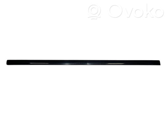 Priekšpusē durvju dekoratīvā apdare (moldings)