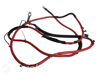 Plusa vads (akumulatora)