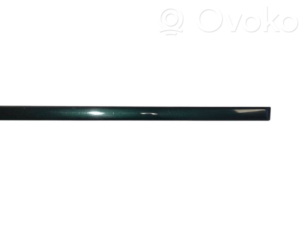 Priekšpusē durvju dekoratīvā apdare (moldings)