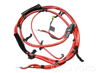 Plusa vads (akumulatora)