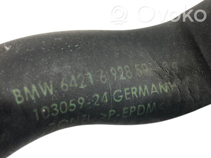 Caurulīte (-es) / šļūtene (-es)