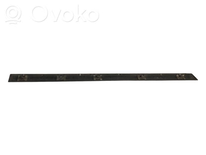 Aizmugurē durvju dekoratīvā apdare (moldings)