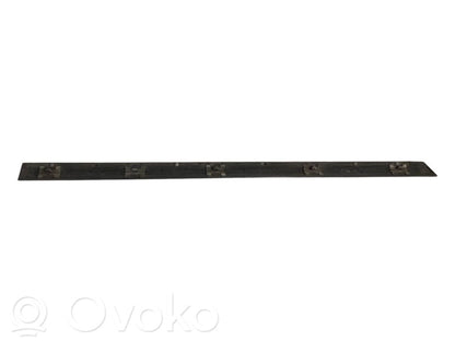 Aizmugurē durvju dekoratīvā apdare (moldings)