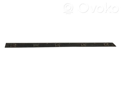 Aizmugurē durvju dekoratīvā apdare (moldings)