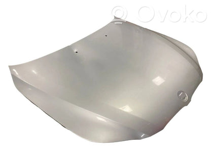 Dzinēja pārsegs (vāks)