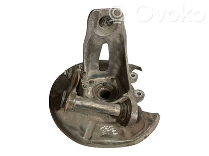 Rear wheel hub shaft joint (stupica, capfa)