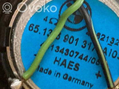 Aizmugurējā palodze