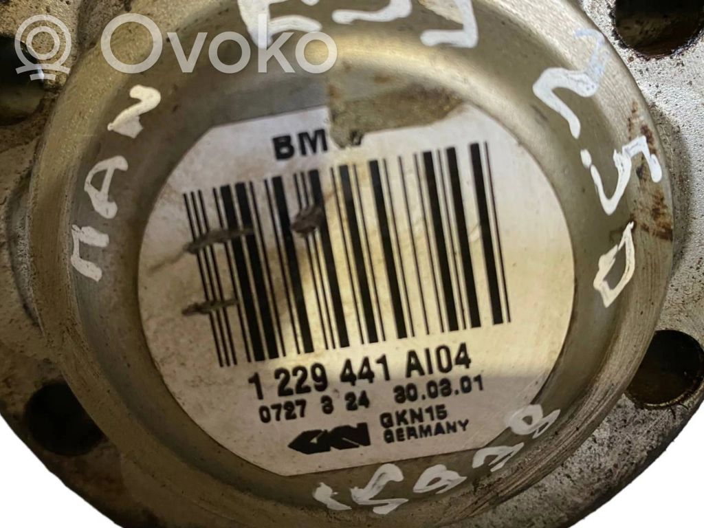 Aizmugurējā pusass