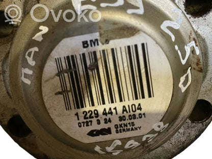 Aizmugurējā pusass