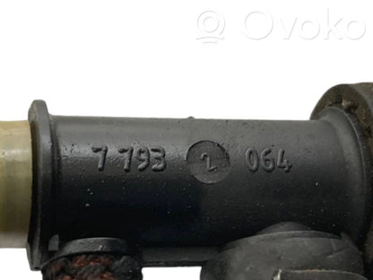 Caurule (-es) / šļūtene (-es)