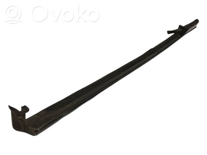 Rear door glass trim
