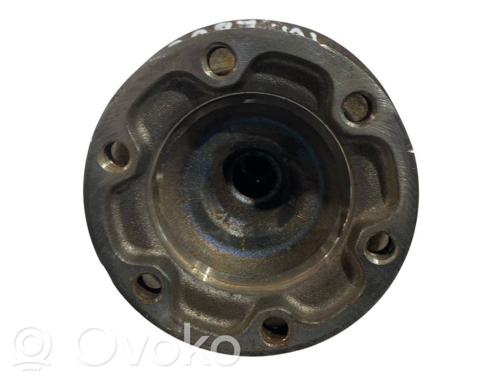 Aizmugurējā pusass