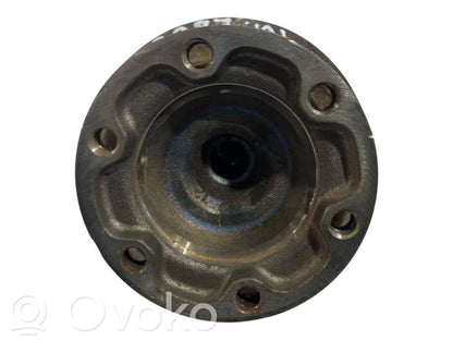 Aizmugurējā pusass