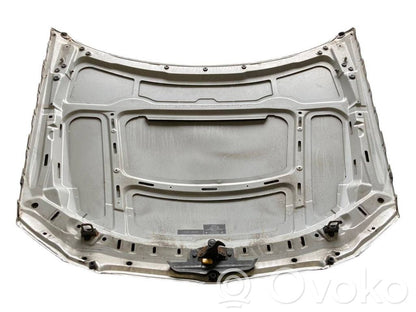 Dzinēja pārsegs (vāks)