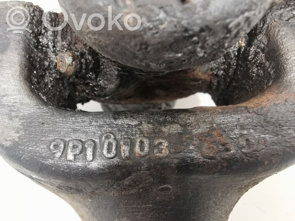 Aizmugurējā pusass