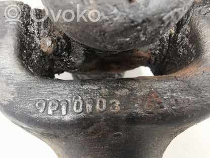 Aizmugurējā pusass