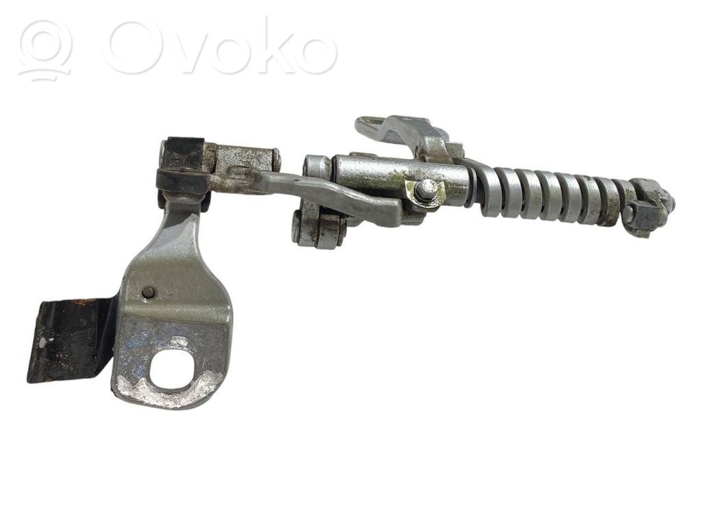 Aizmugurējā pārsega eņģe (-ess)