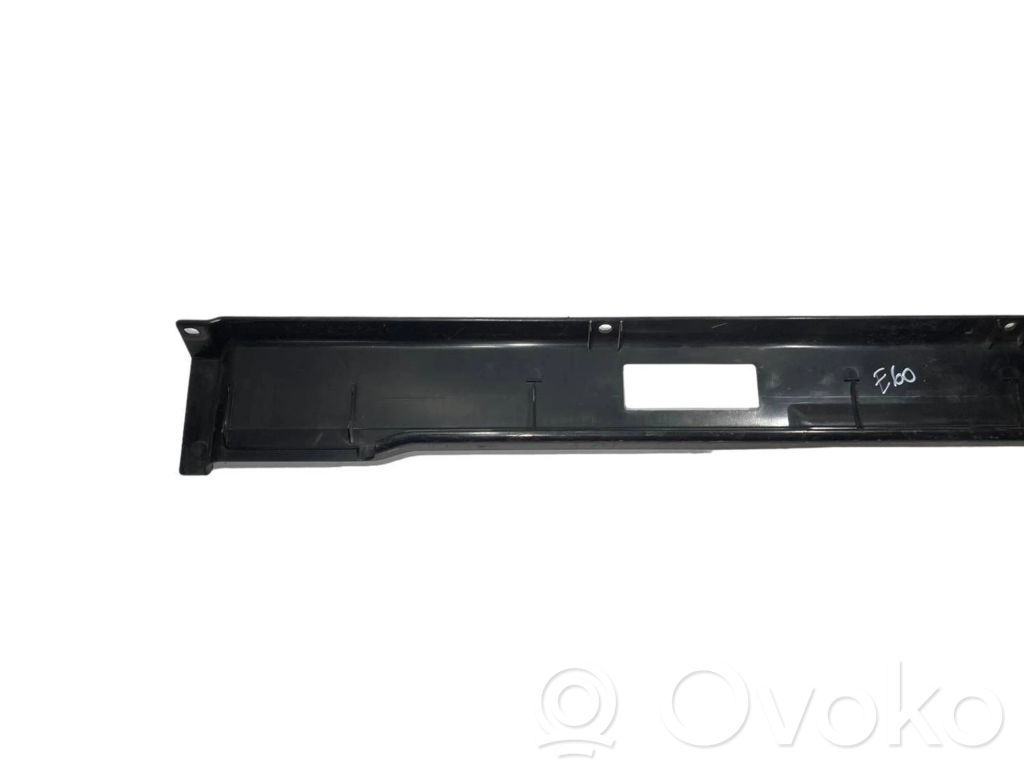 Trunk sill trim