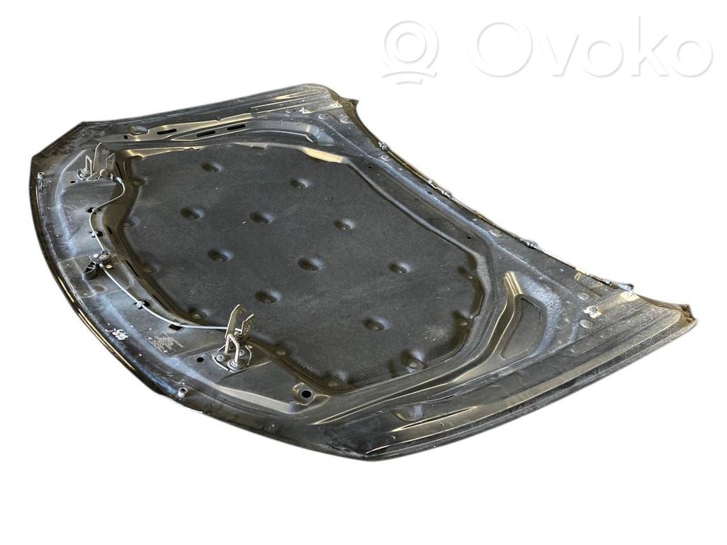 Dzinēja pārsegs (vāks)
