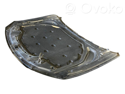 Dzinēja pārsegs (vāks)