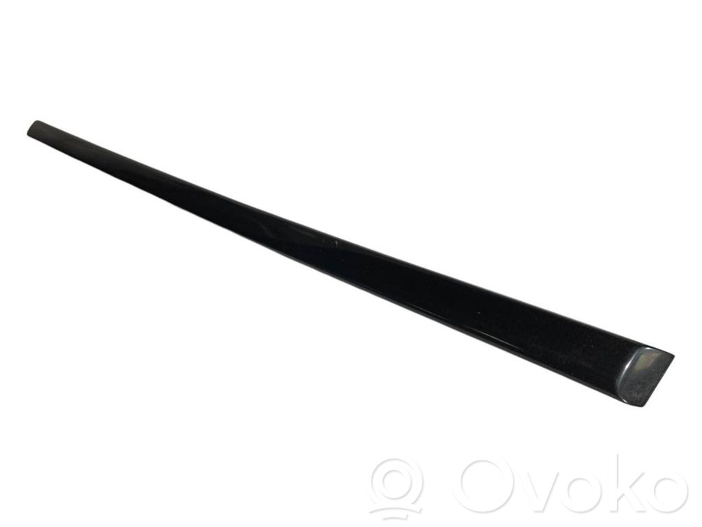 Front door decorative trim (molding)