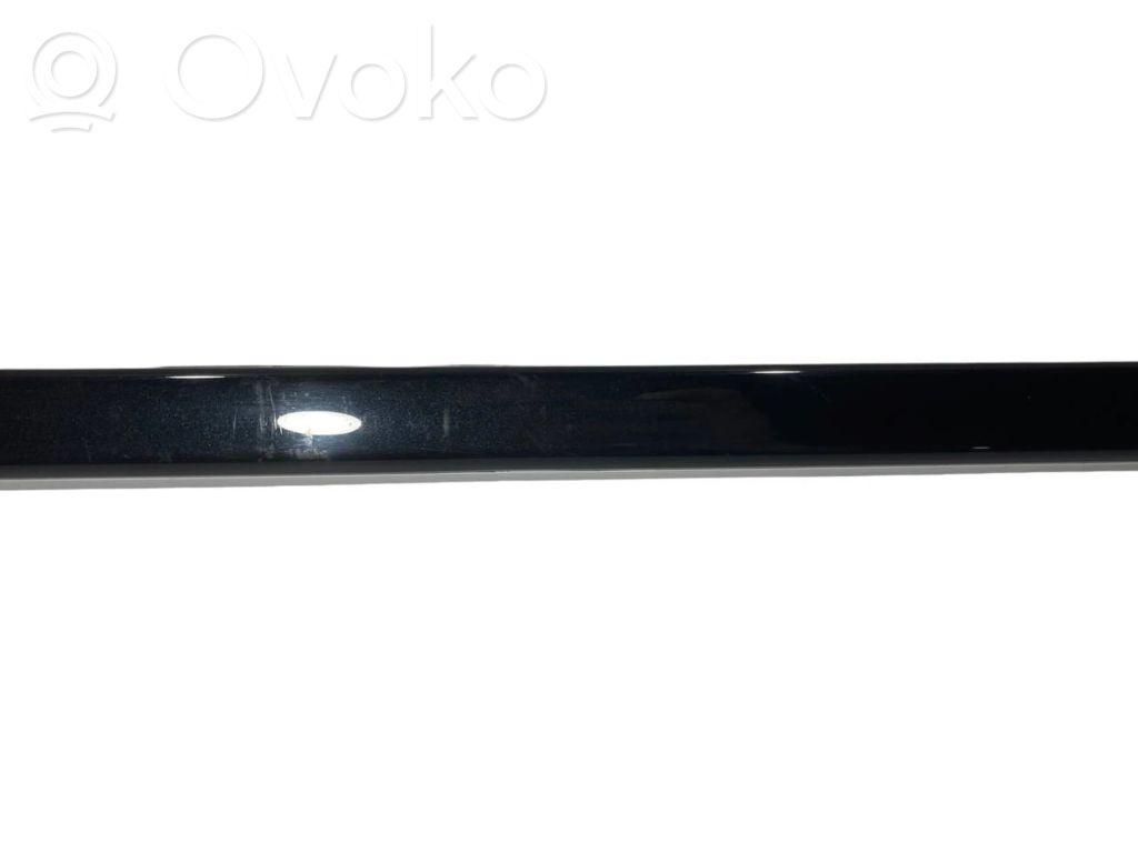 Aizmugurē durvju dekoratīvā apdare (moldings)