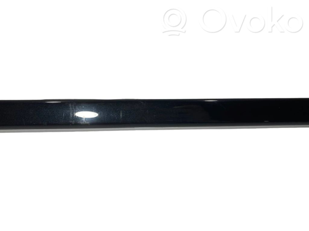 Молдинг задней двери