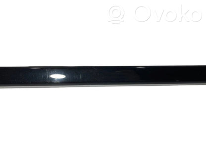 Молдинг задней двери