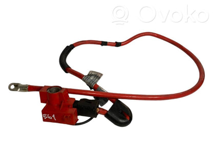 Plusa vads (akumulatora)