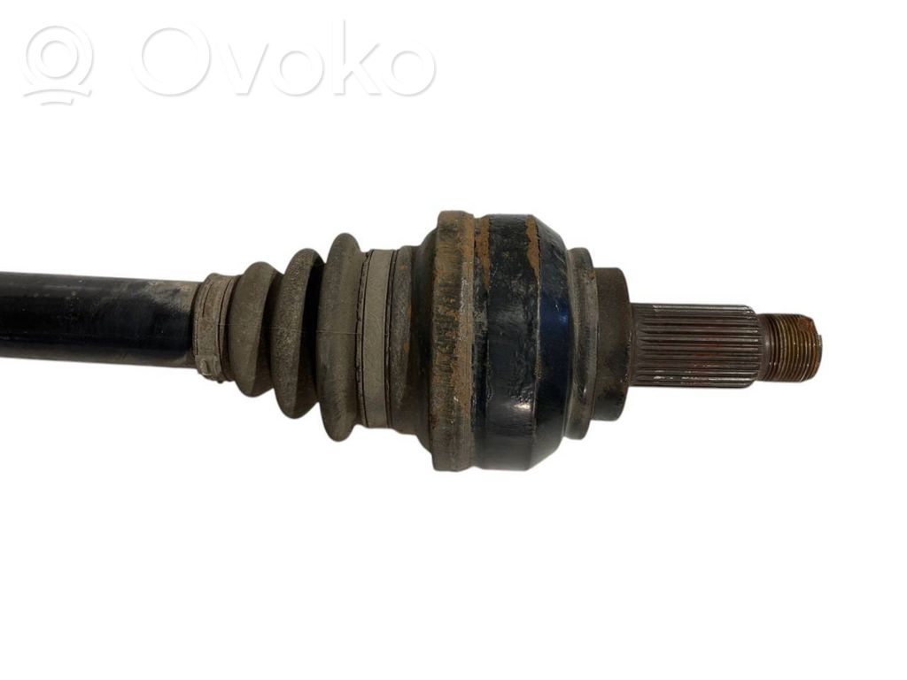 Aizmugurējā pusass