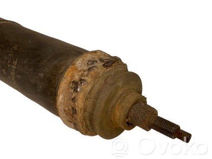 Aizmugurē amortizators