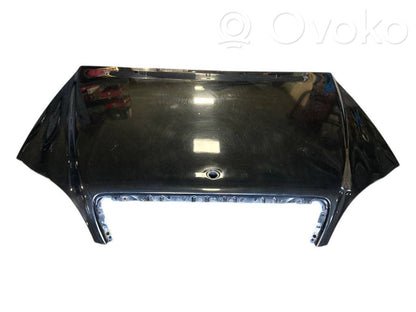 Dzinēja pārsegs (vāks)