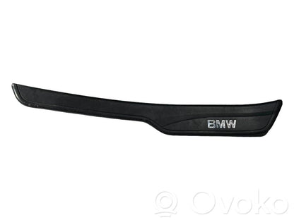 Front sill trim (inner)