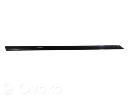 Aizmugurē durvju dekoratīvā apdare (moldings)