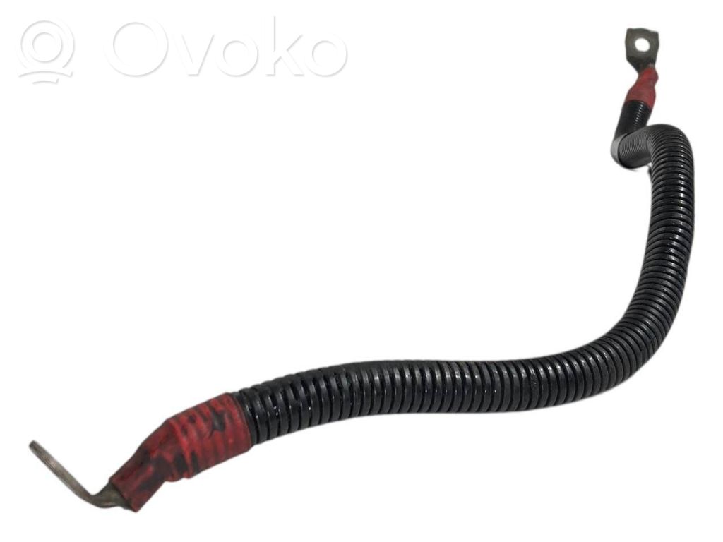 Plusa vads (akumulatora)