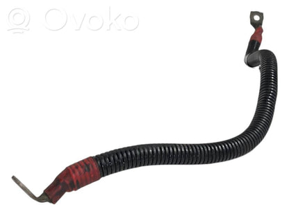 Plusa vads (akumulatora)