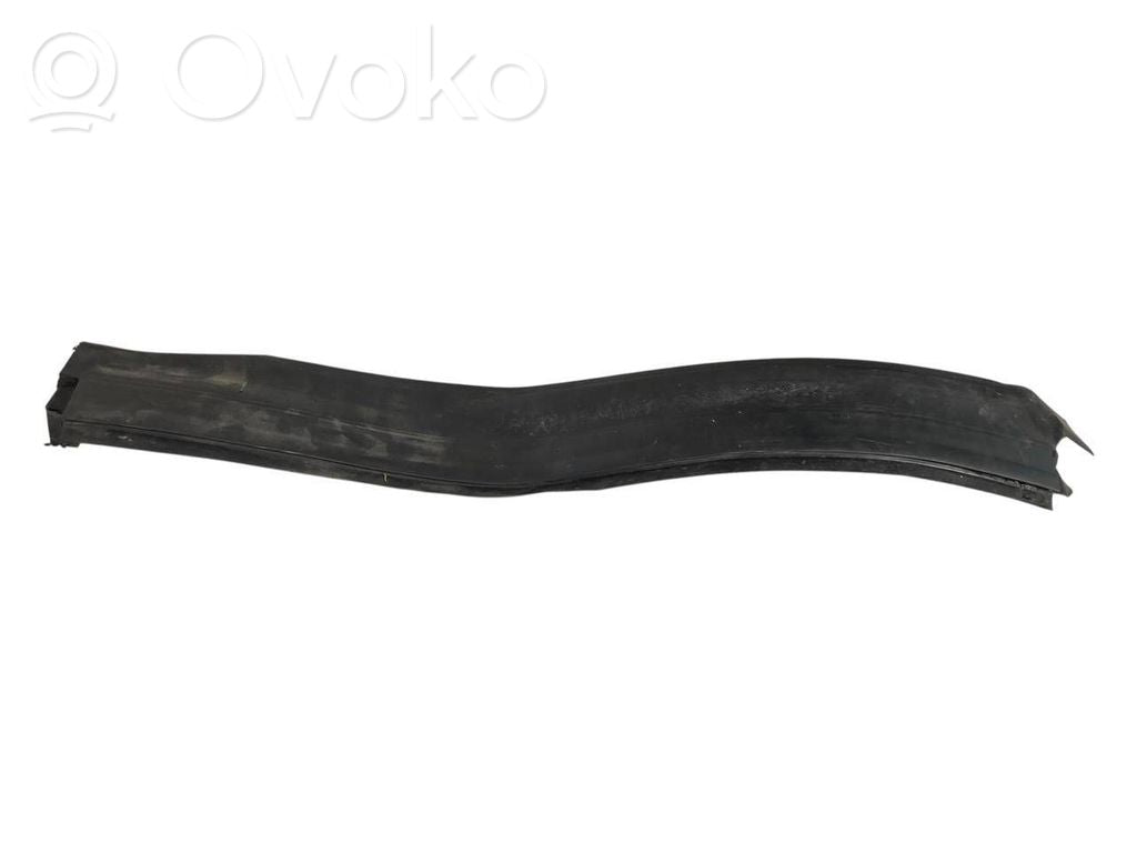 Dzinēja nodalījuma gumija