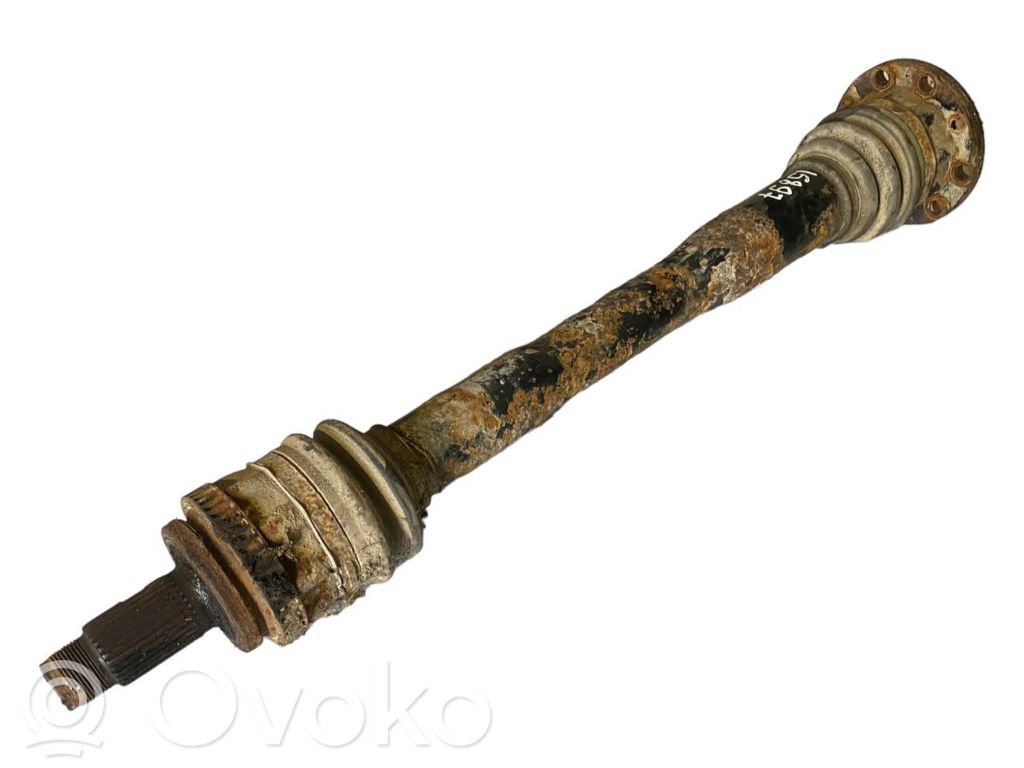 Aizmugurējā pusass