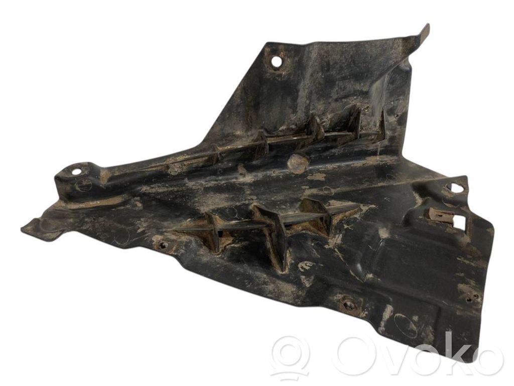 Under engine guard (front)