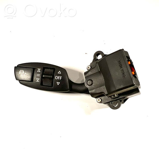 Cruise control (autopilot) lever